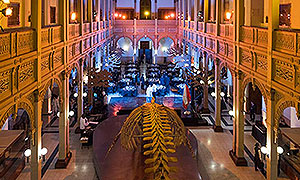 Les Toques Blanches realiza su evento anual