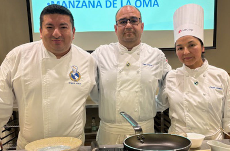 Proceso de Becas Les Toques Blanches en la Región de Los Lagos